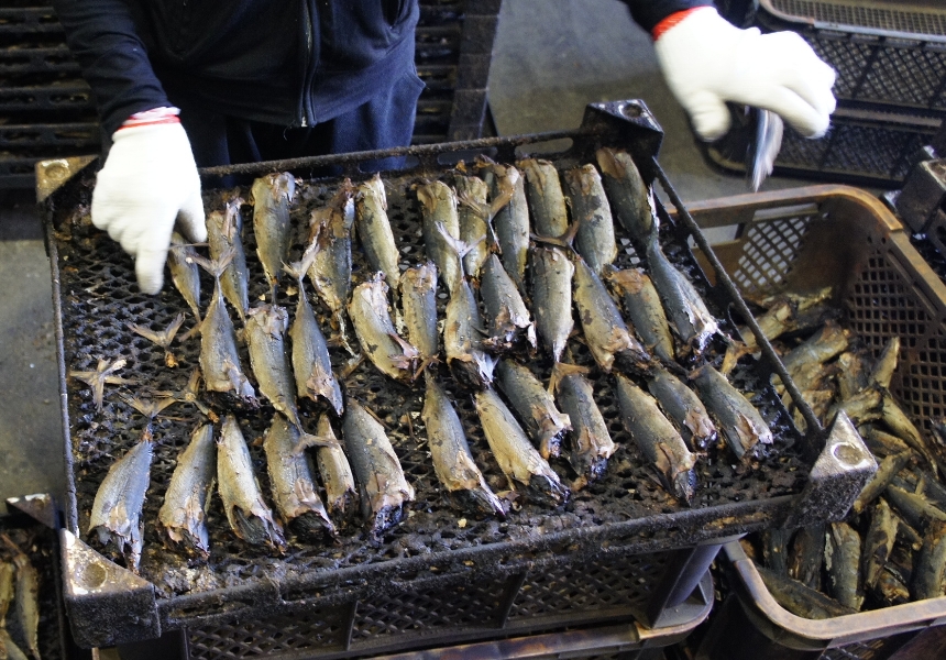 カゴ取り・選別